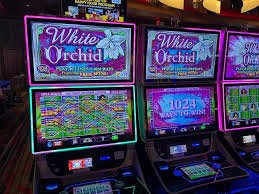 ibcmax Casino Rooms Meet Indonesia Wallet Access